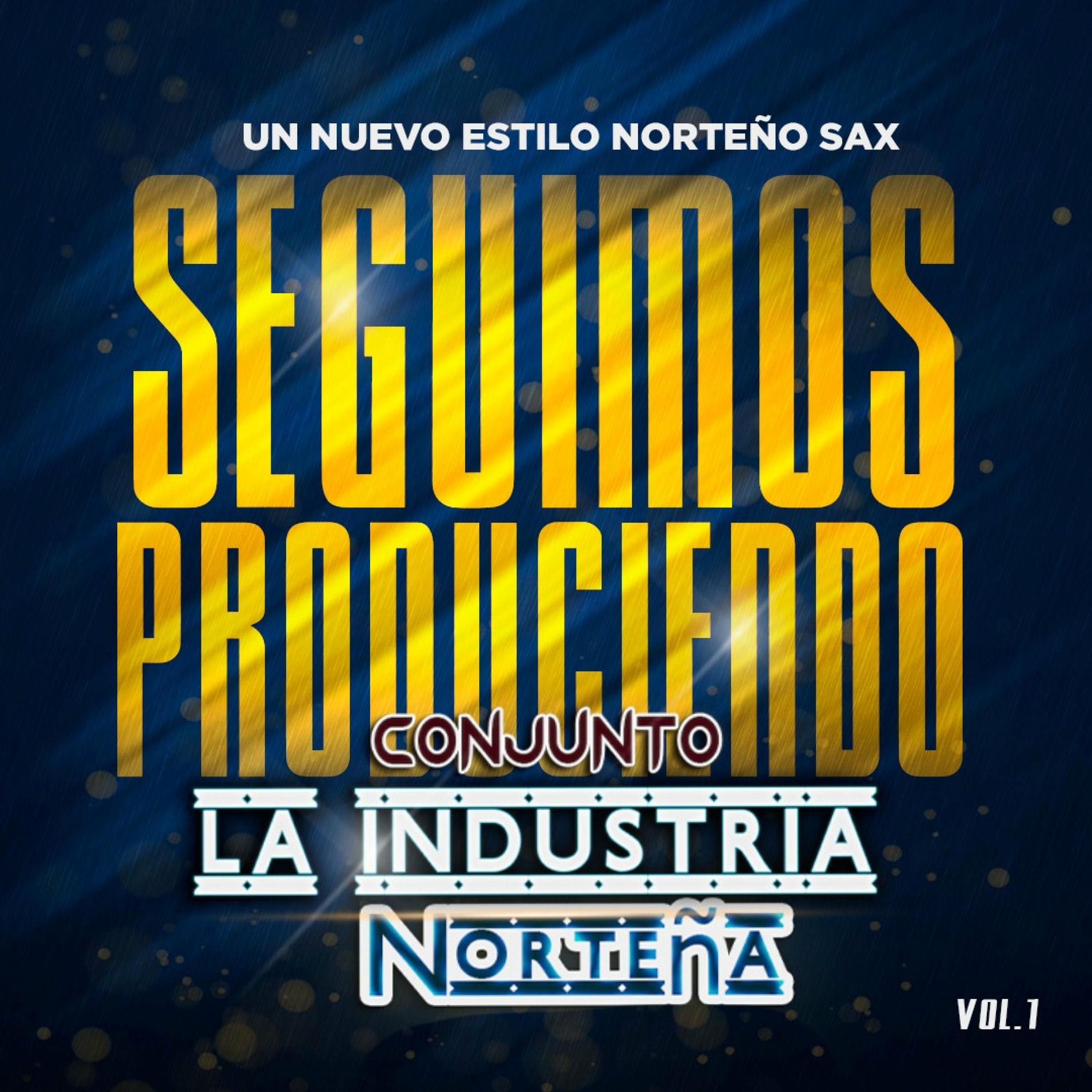 Album cover of Y Seguimos Produciendo