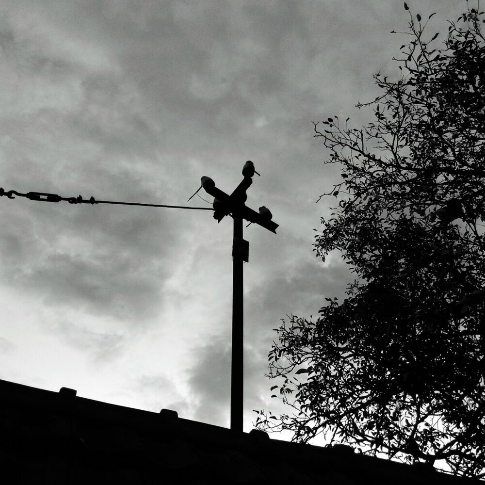Picture of Archives / Arnaud Le Texier (10 Years Affin)