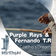 Coelho's Dream (Purple Rays Remix) by Purple Rays album cover