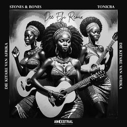 Cover of Die Kitare Remix