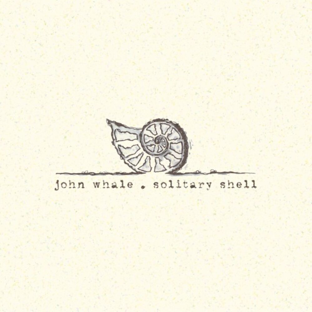 Picture of Solitary Shell