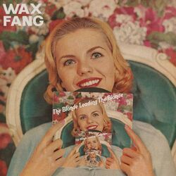 Cover of The Blonde Leading the Blonde
