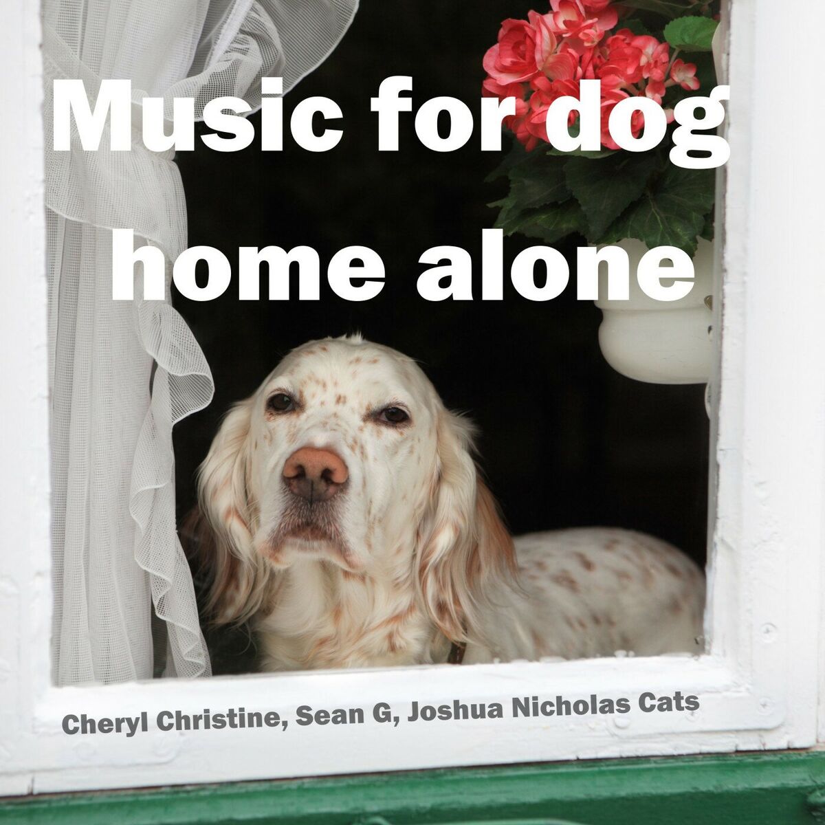 Album cover of Music for dog home alone