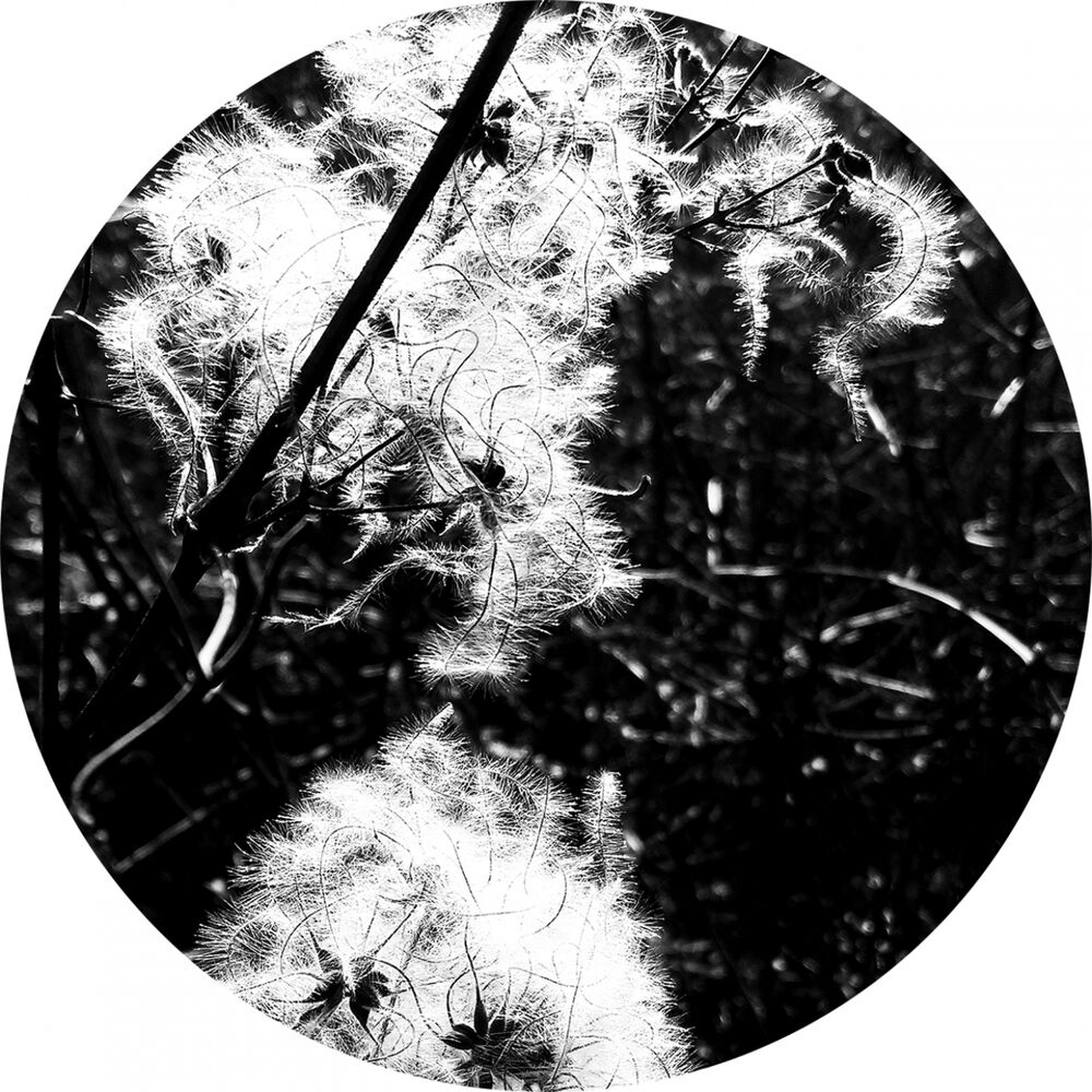 Picture of Irradiance Reworked
