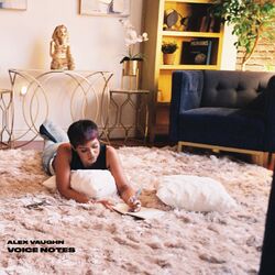 Cover of Voice Notes