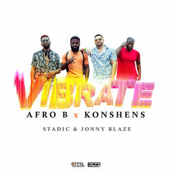 Cover of Vibrate
