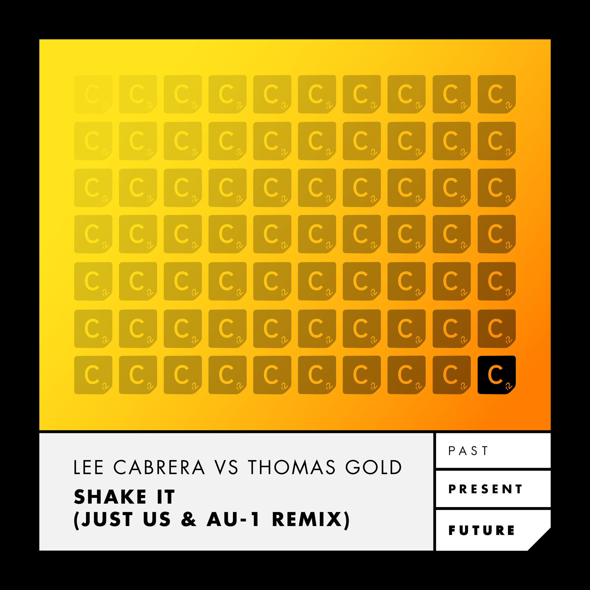 Album cover of Shake It