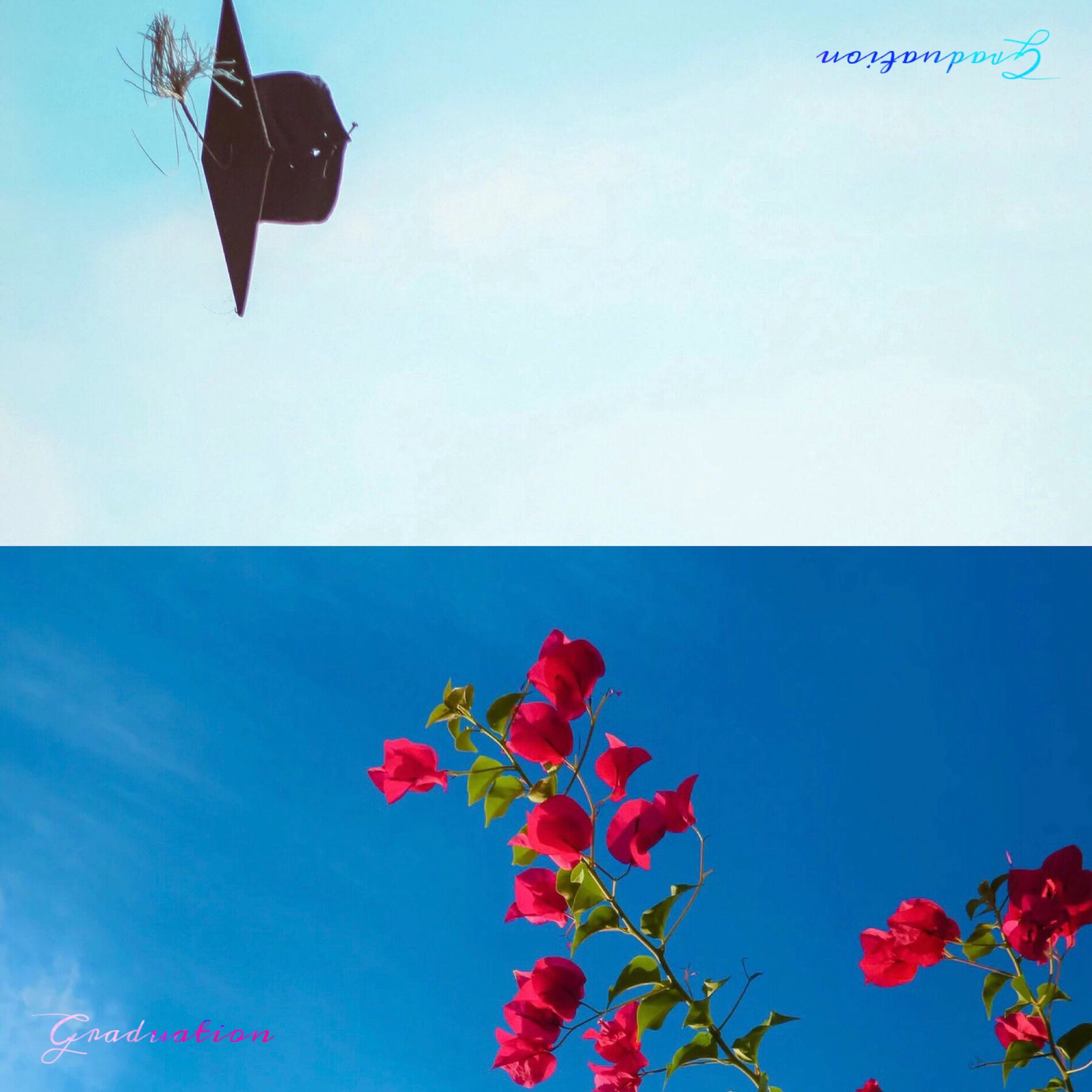 Album cover of Graduation
