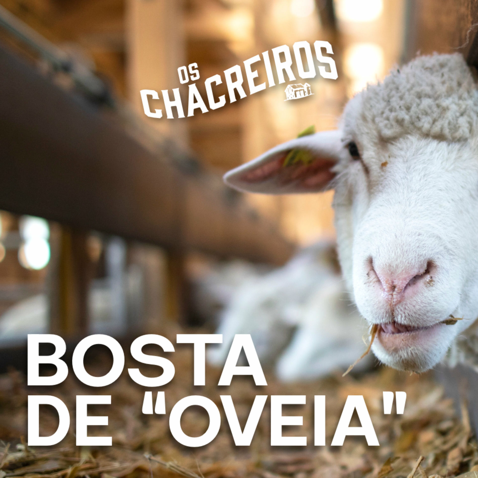 Album cover of Bosta de 