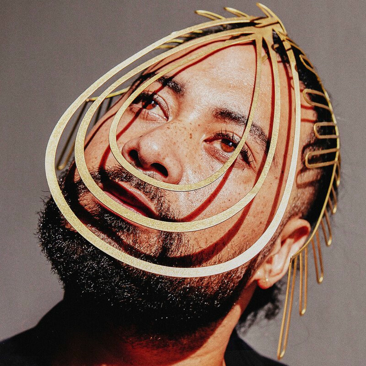 Album cover of RISE