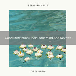 Cover of Good Meditation Heals Your Mind And Revives by undefined