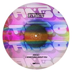 Cover of Something About You
