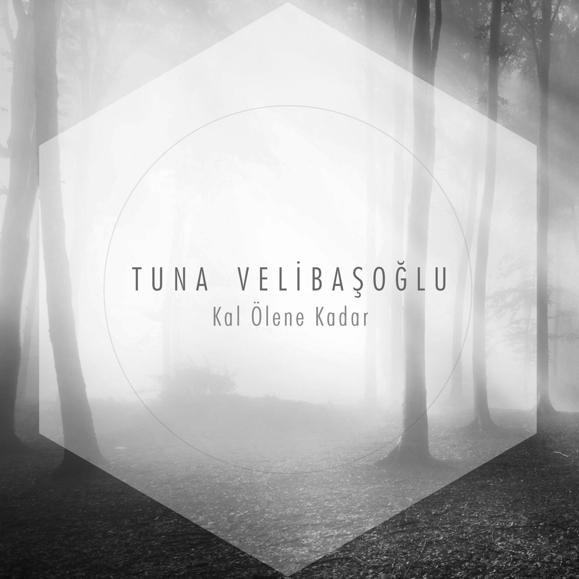 Album cover of Kal Ölene Kadar