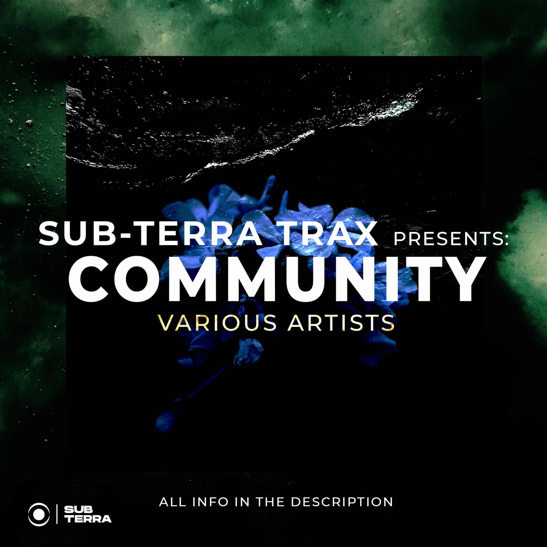 Album cover of Community VA