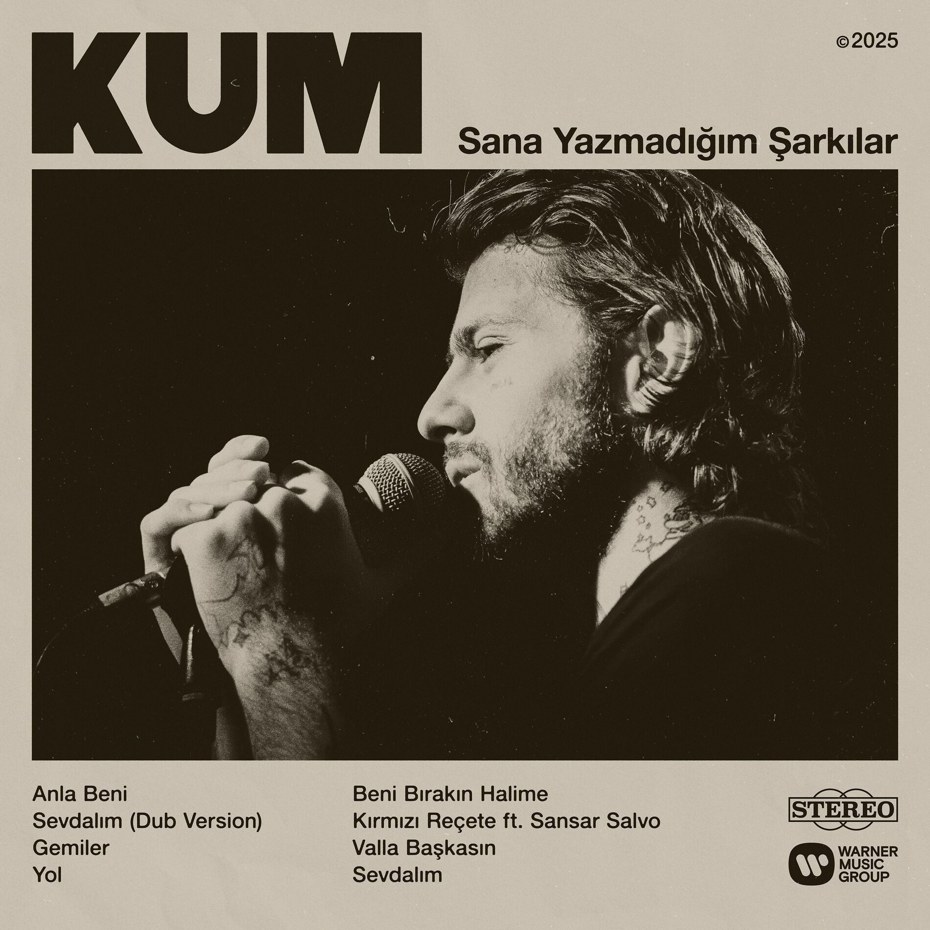 Album cover of Gemiler