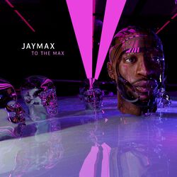 Cover of To the Max