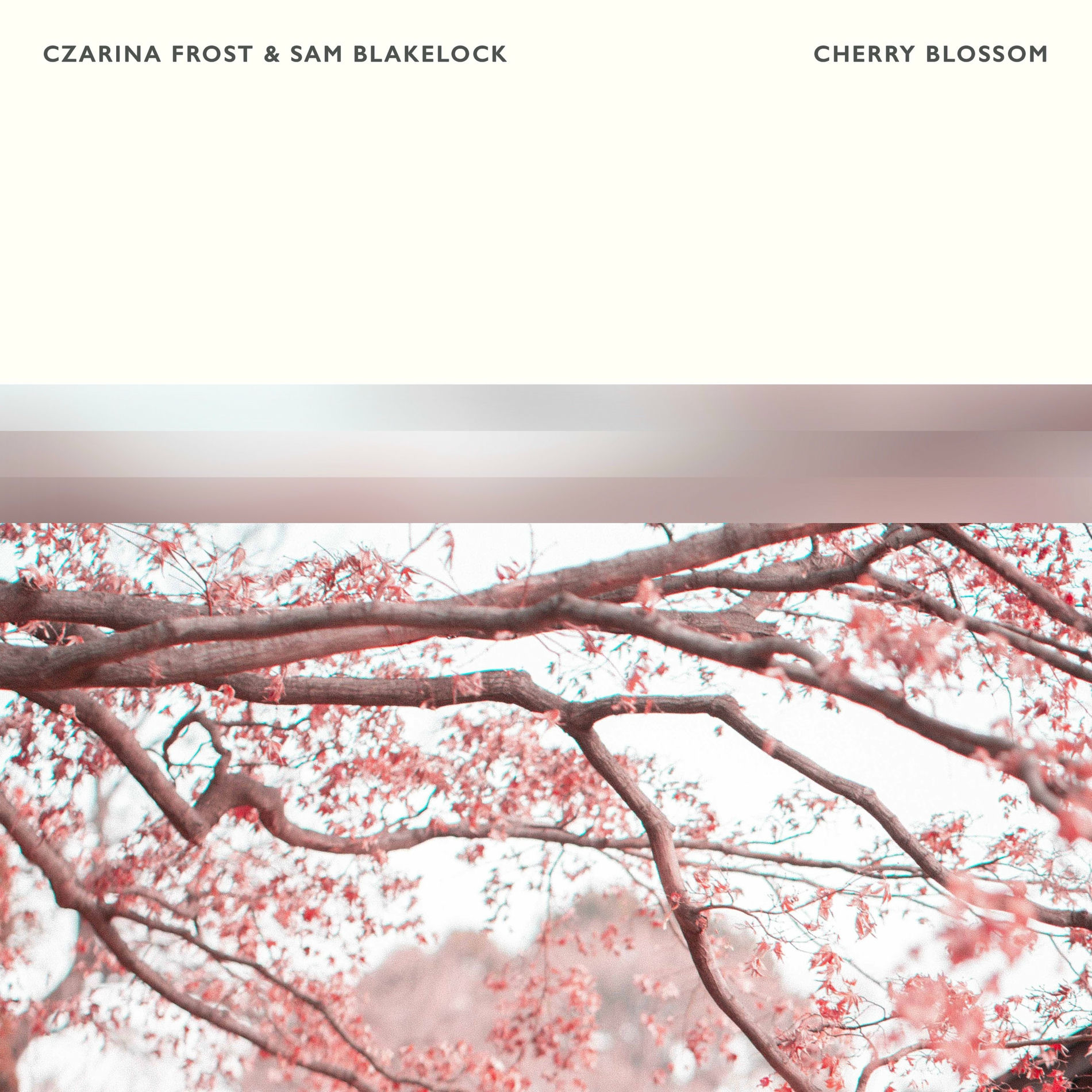 Album cover of Cherry Blossom