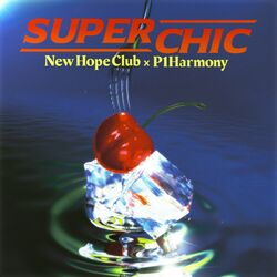 Cover of Super Chic