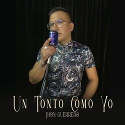 Cover of Un tonto como yo