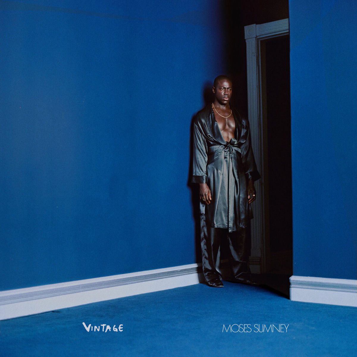 Album cover of Vintage