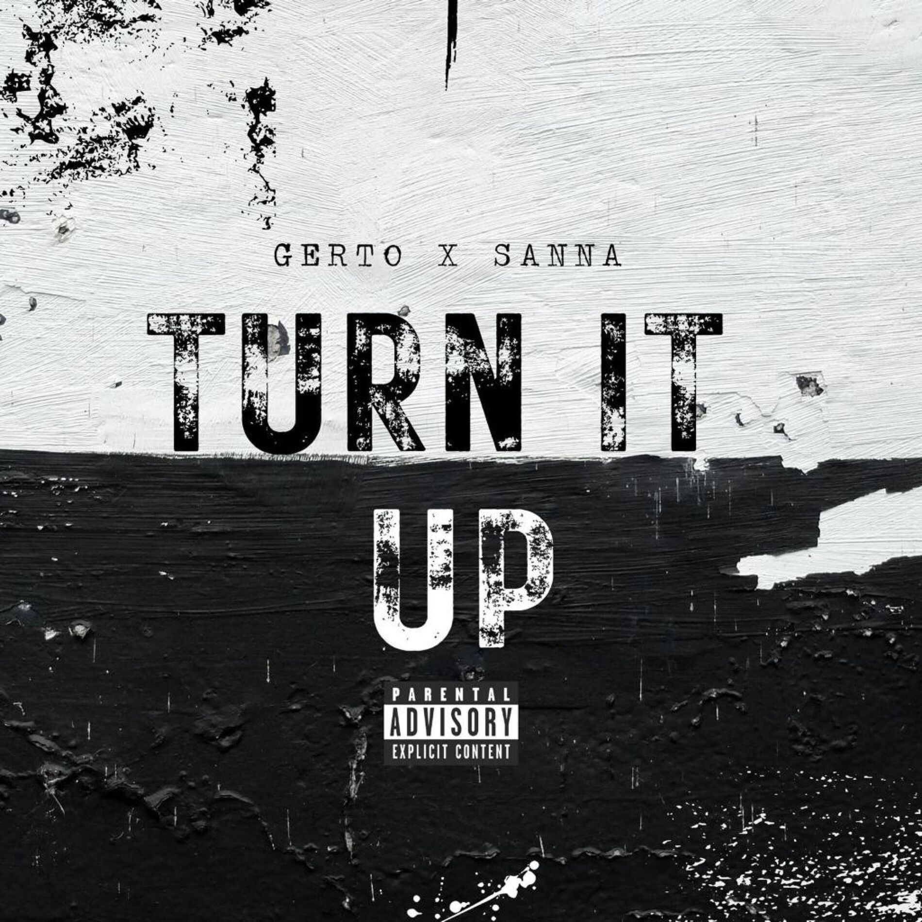 Album cover of Turn it up (feat. Sanna)