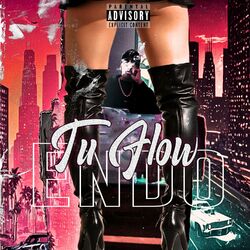 Cover of Tu Flow