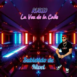 Cover of Subiendo de Nivel