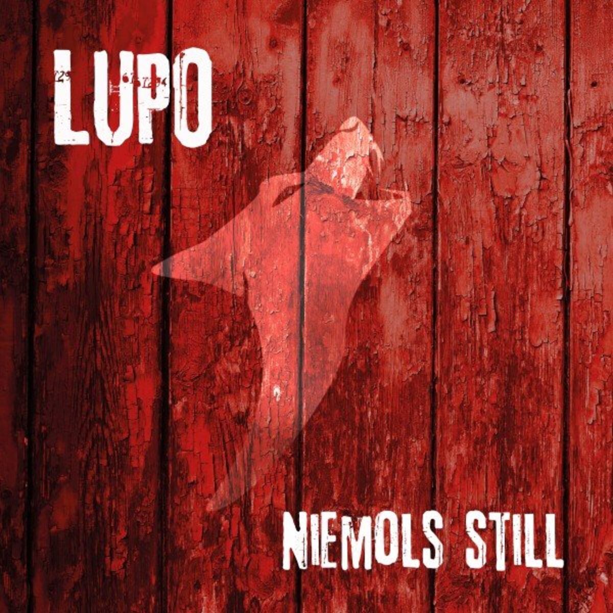 Album cover of För die Liebe nit