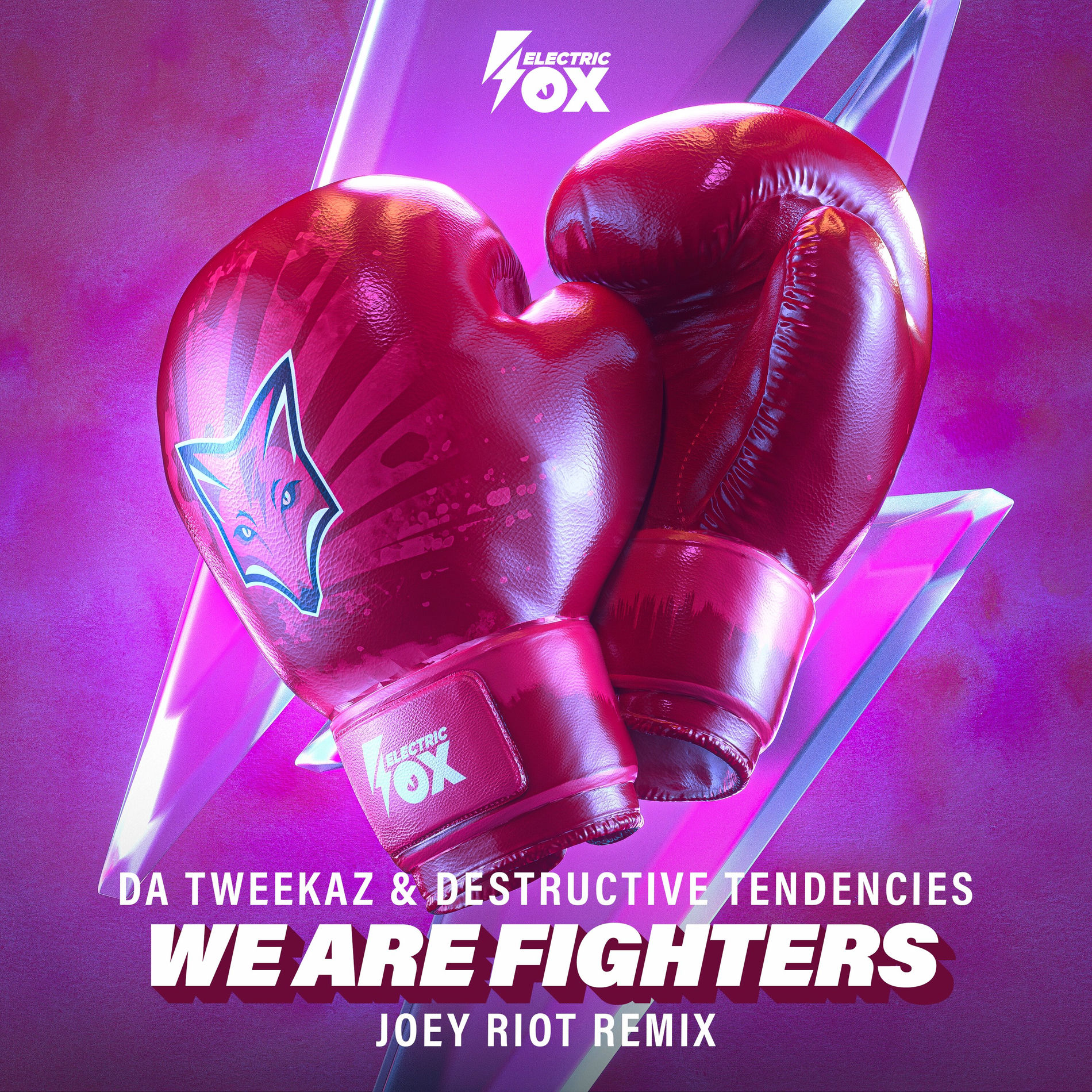 Album cover of We Are Fighters