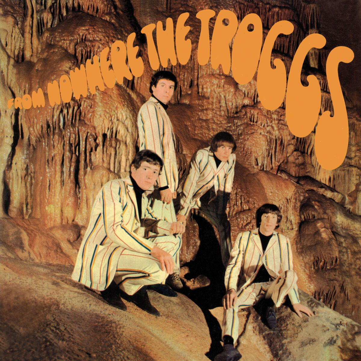 Album cover of Wild Thing