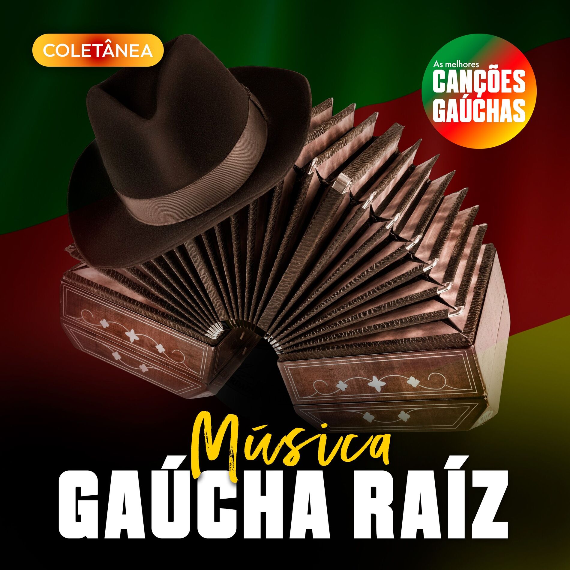 Album cover of MÚSICA GAÚCHA RAIZ