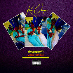 Cover of November 20 a Mini Session