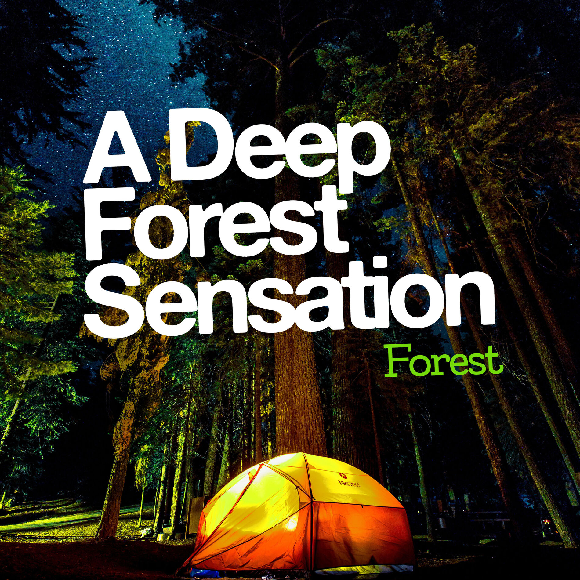 Album cover of A Deep Forest Sensation