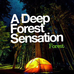 Cover of A Deep Forest Sensation