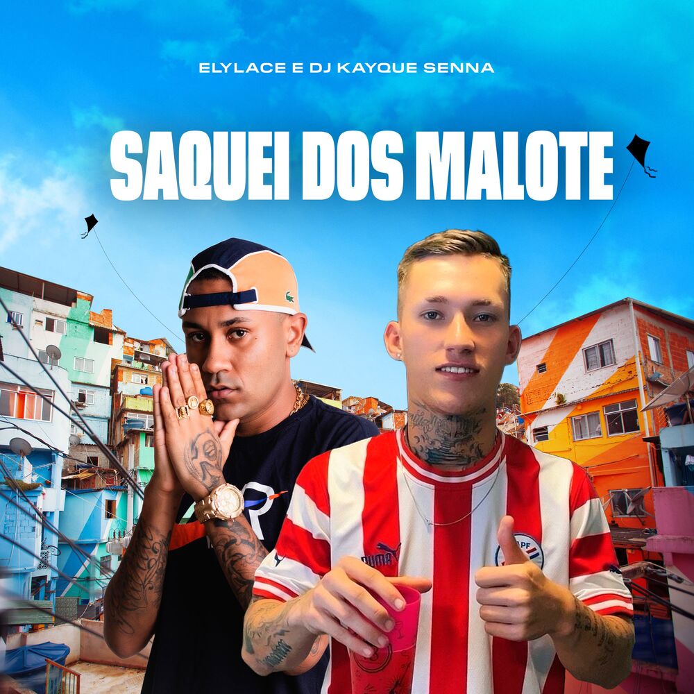 Picture of Saquei dos Malote