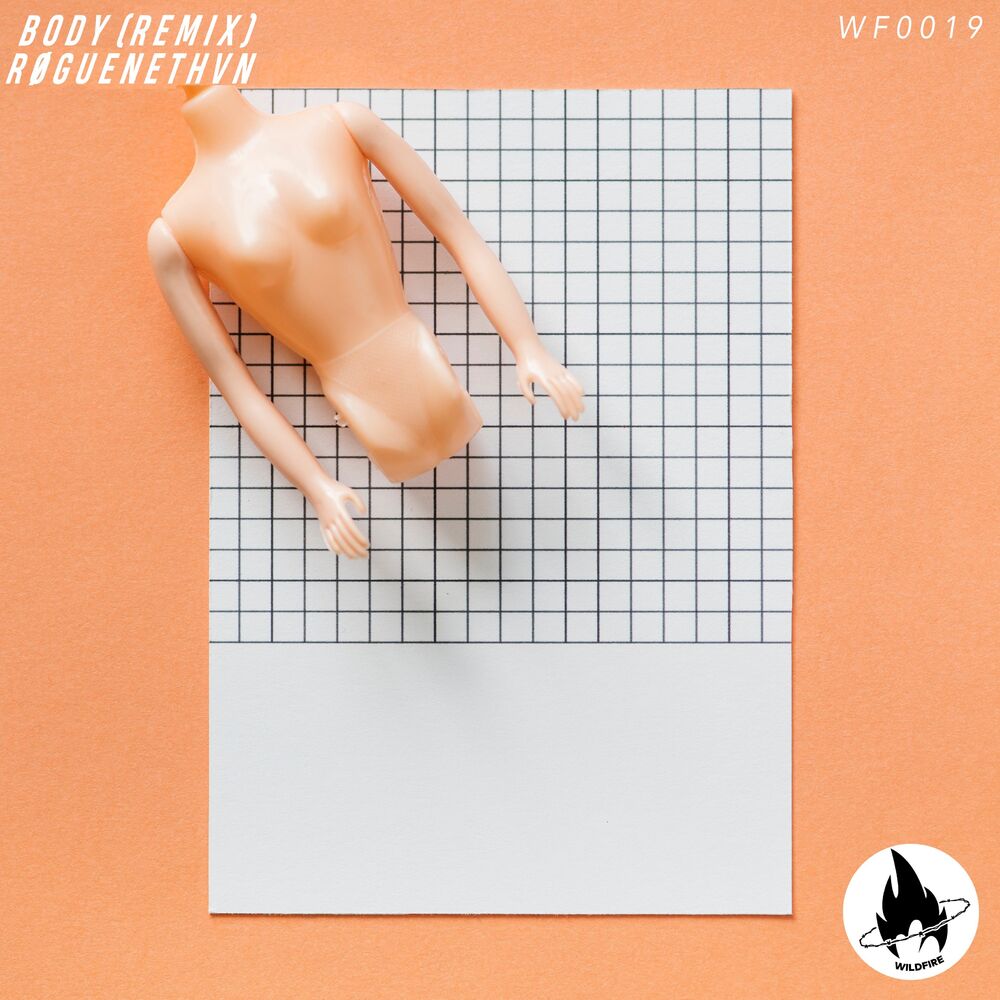 Picture of Body (Remix)