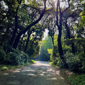 This road to live