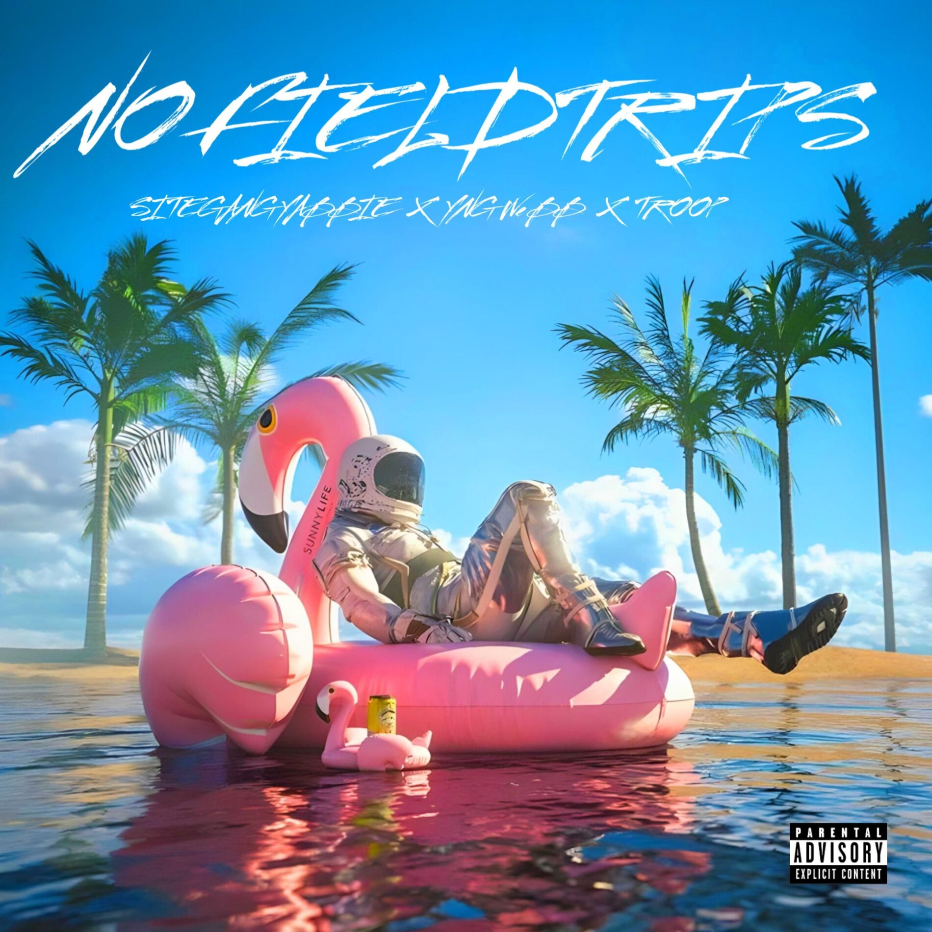 Album cover of NO FIELDTRIPS