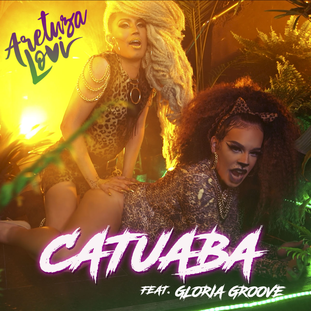 Album cover of Catuaba