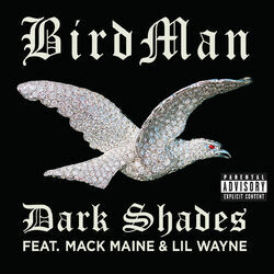 Cover of Dark Shades