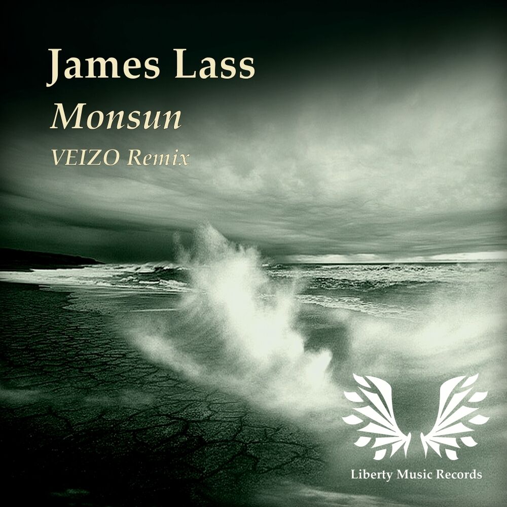 Picture of Monsum (Veizo Remix)