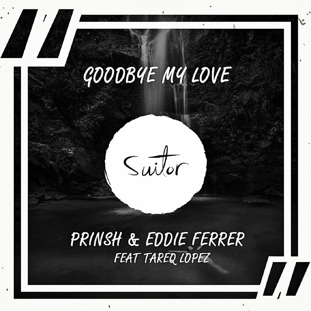 Picture of Goodbye My Love (feat. Tareq Lopez)