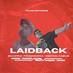 Cover of Laidback