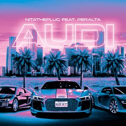 Cover of Audi