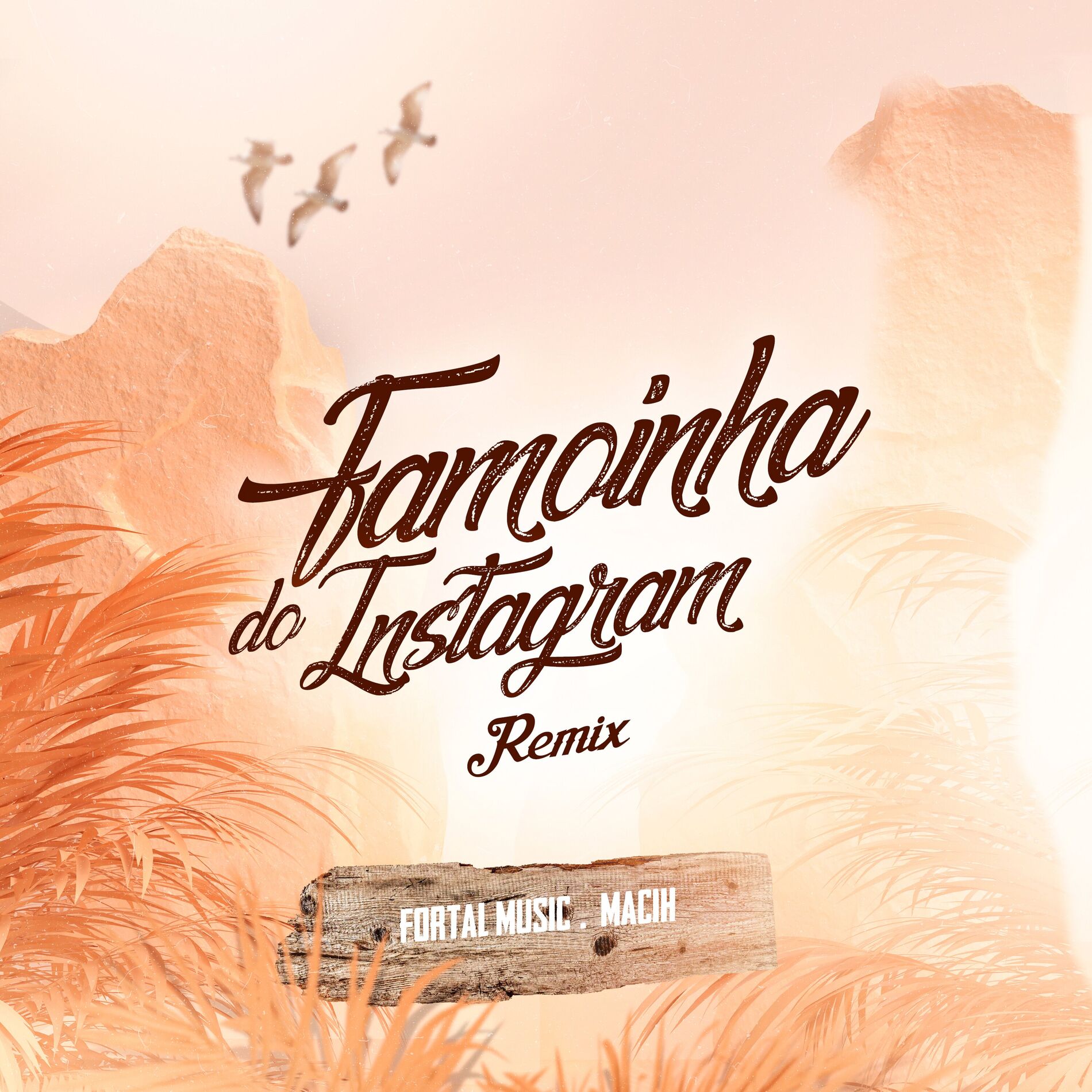 Album cover of Famosinha do Instagram (Remix)