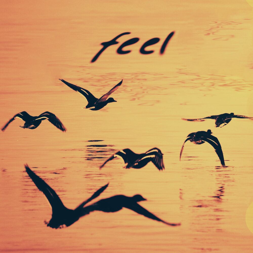 Picture of Feel (feat. Ron Grant)