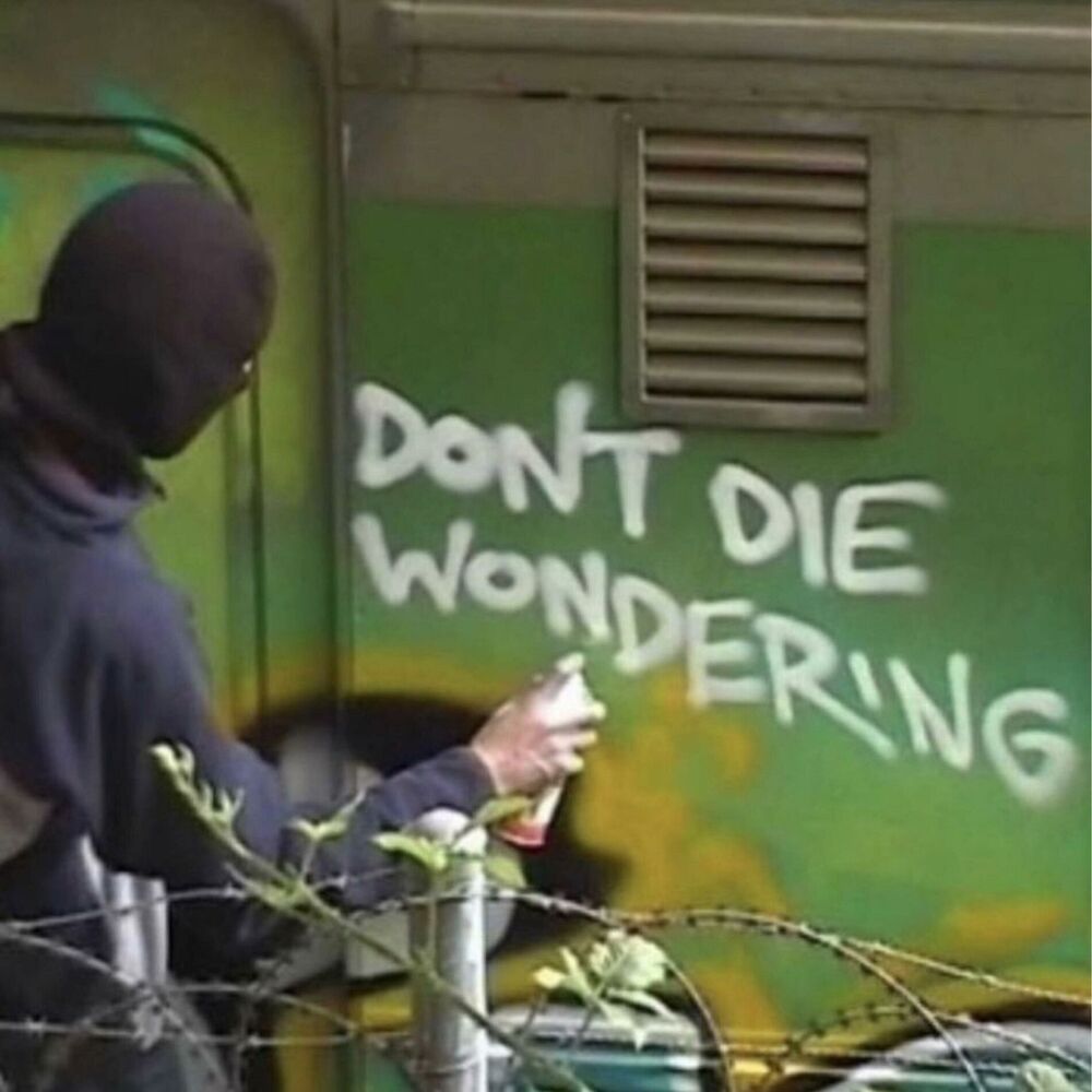 Picture of Don't Die Wondering