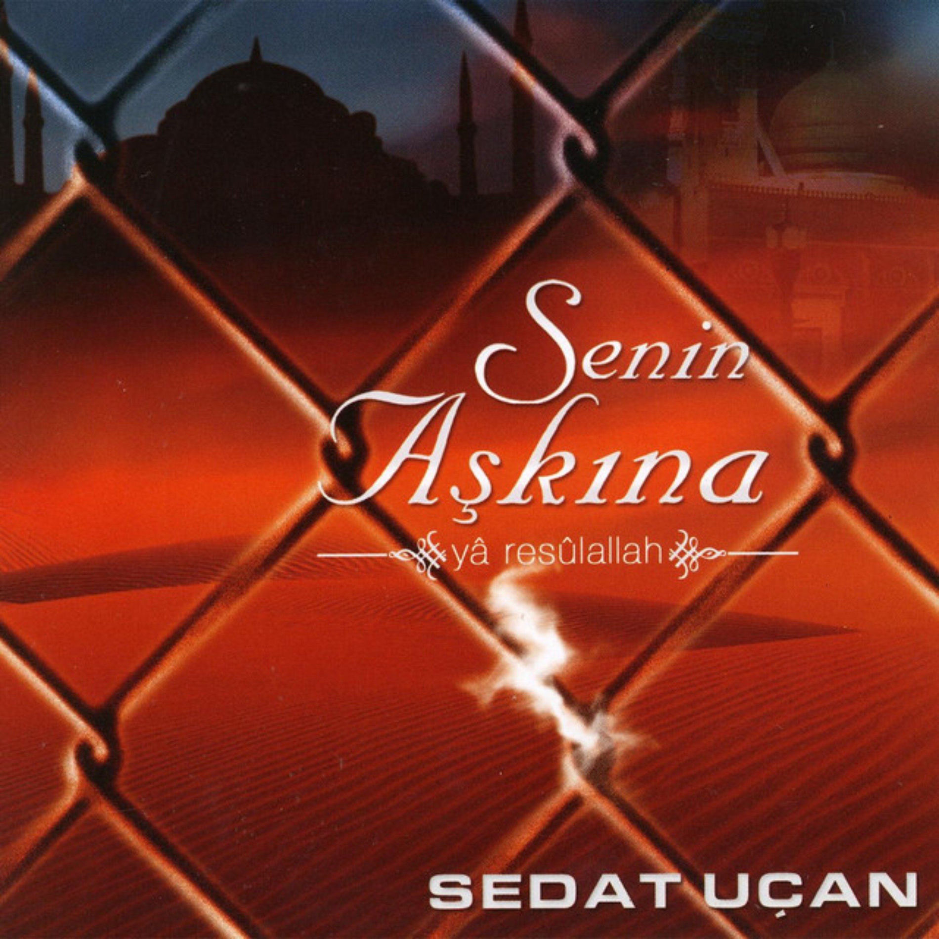 Album cover of Aşkın İle Aşıklar