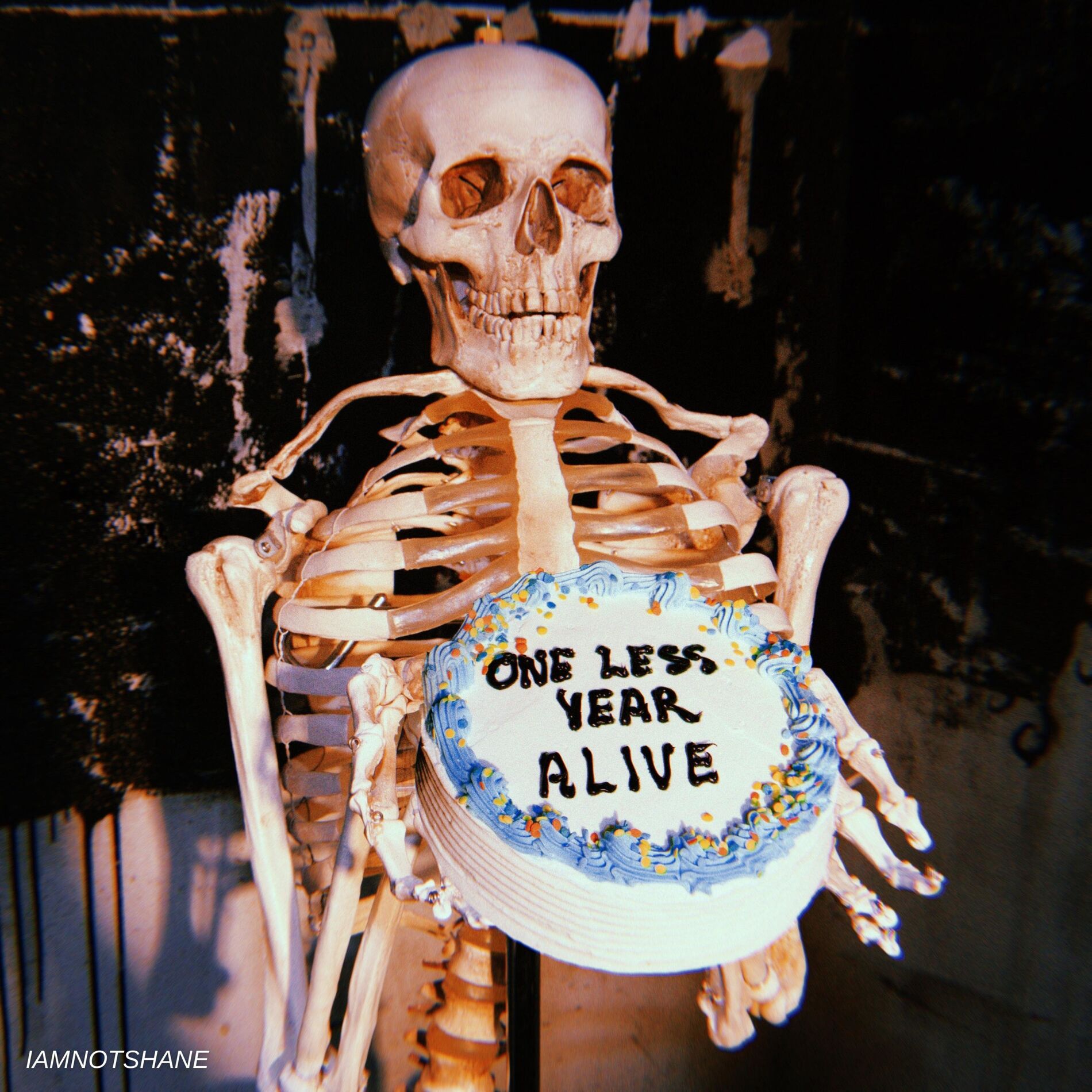 Album cover of One Less Year Alive