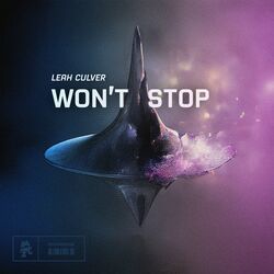 Cover of Won't Stop
